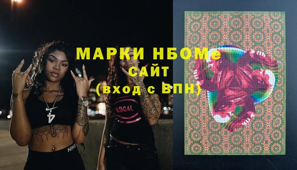 стафф Алексин