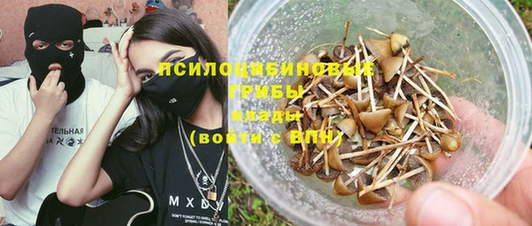 круглые Алзамай