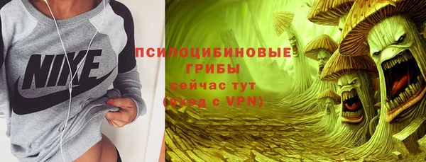 стафф Алексин