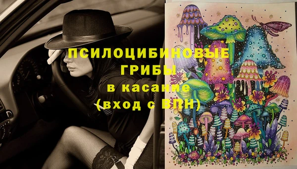 стафф Алексин